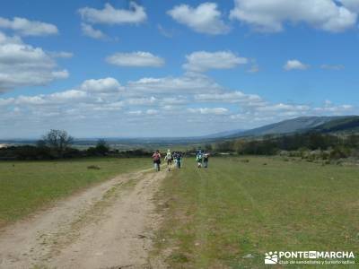 El pinar del Puerto de Navafría;fiesta de la almudena;alta montaña;viajes agosto